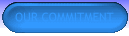 Our Commitment